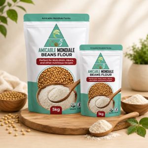 Beans Flour