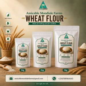 Wheat Flour